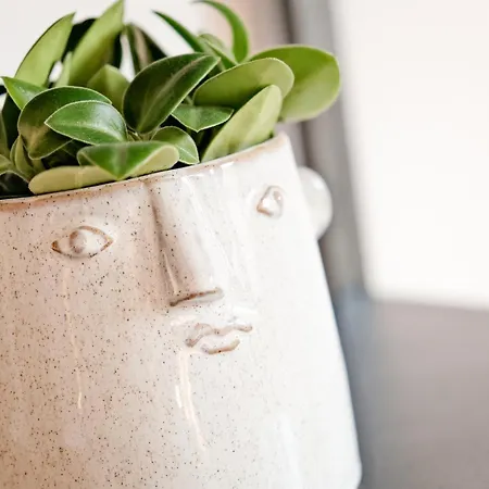 Grand Franziska - Inkl Crossfit Gym Oda ve Kahvaltı