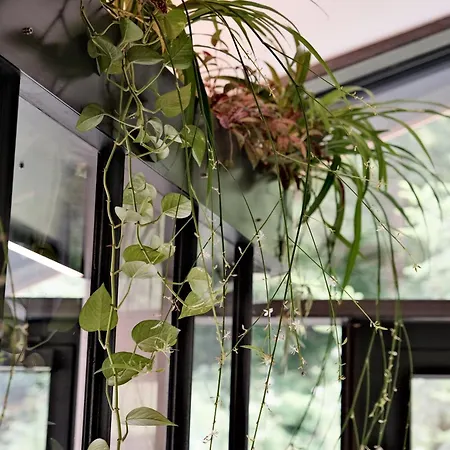 Grand Franziska - Inkl Crossfit Gym 4*