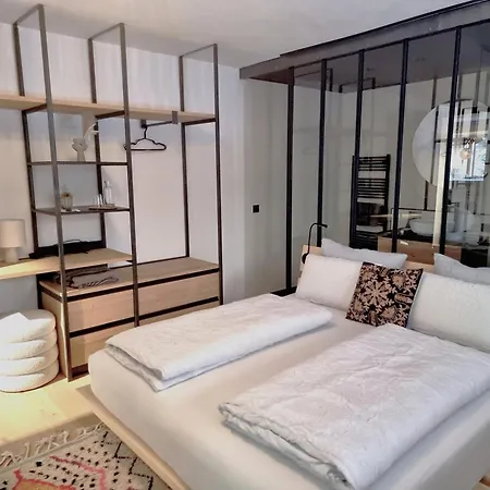 Grand Franziska - Inkl Crossfit Gym 4* 萨尔巴赫