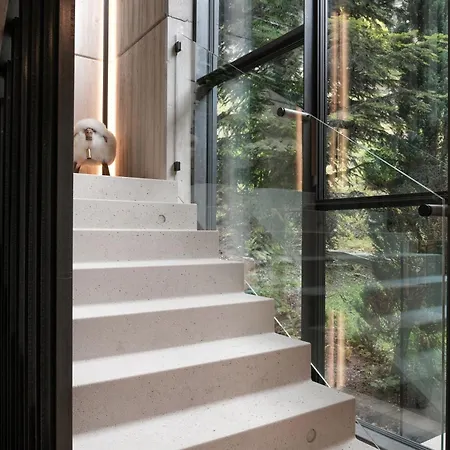 Nocleg ze śniadaniem Grand Franziska - Inkl Crossfit Gym