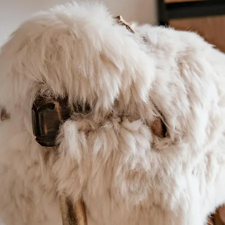 Grand Franziska - Inkl Crossfit Gym Nocleg ze śniadaniem Saalbach-Hinterglemm